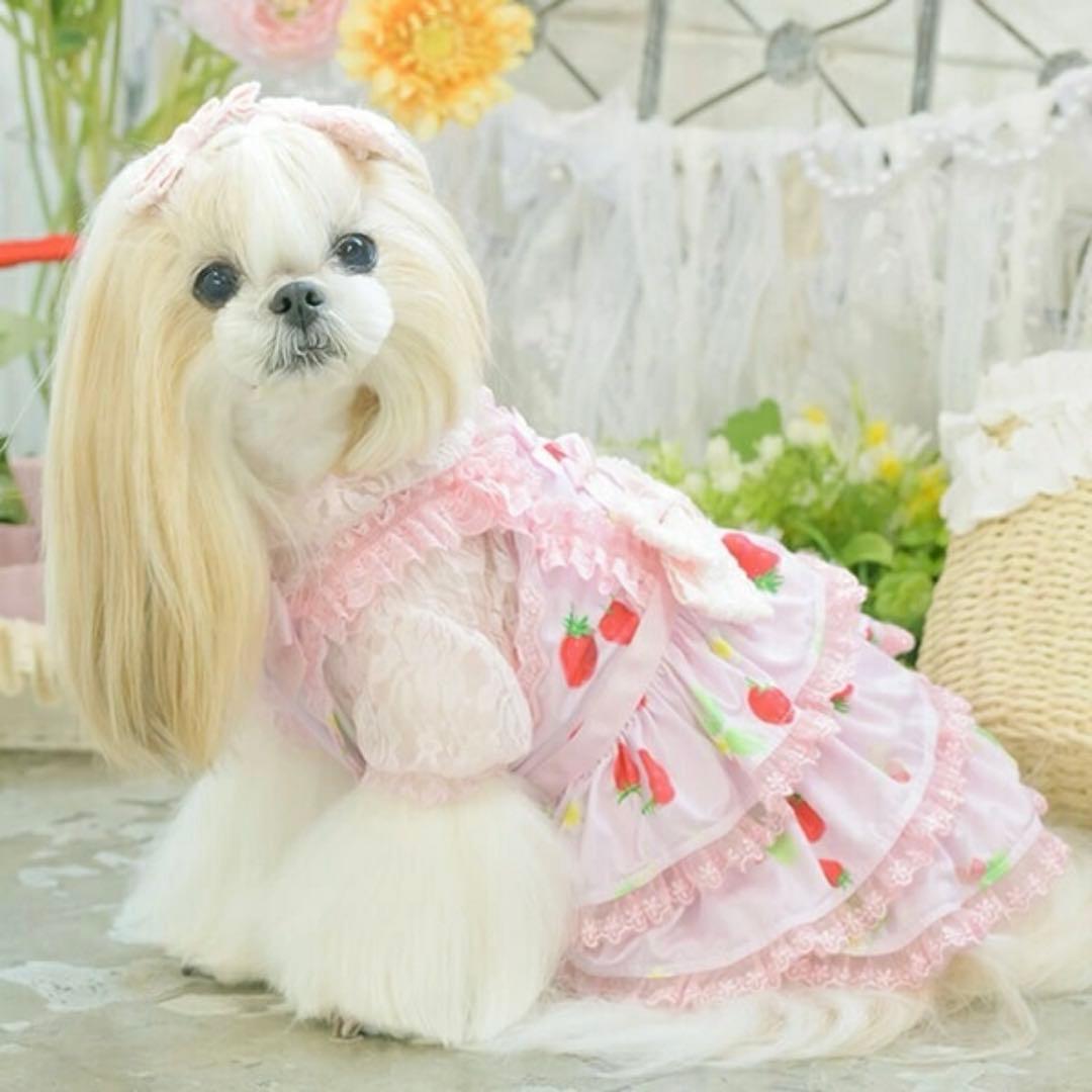 犬服　Can Nana いちご柄ワンピ＆バレッタ　サイズL
