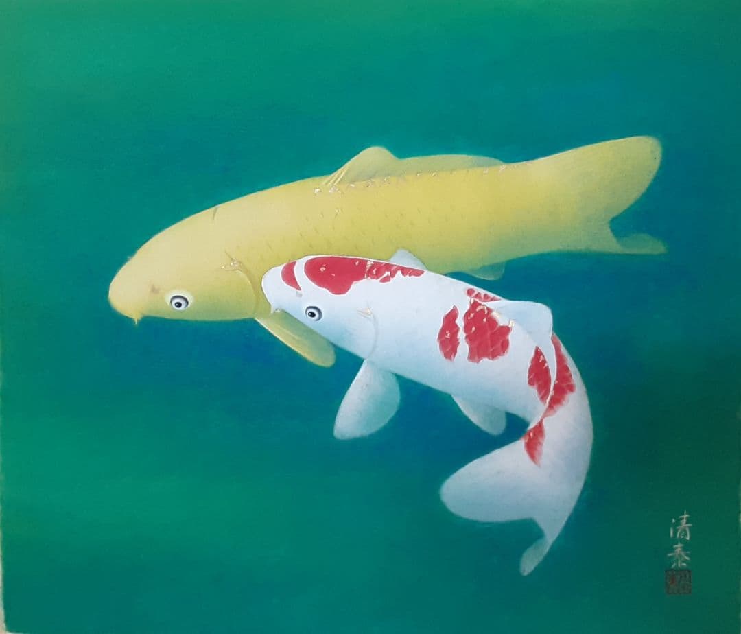 日本画　森島 清泰 　鯉　肉筆紙本