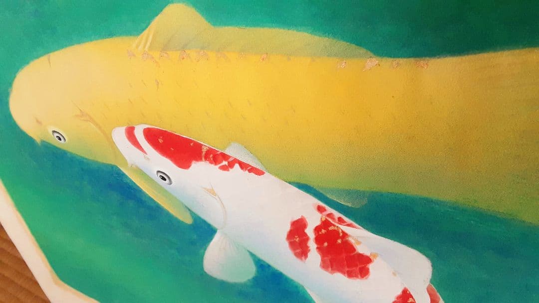 日本画　森島 清泰 　鯉　肉筆紙本