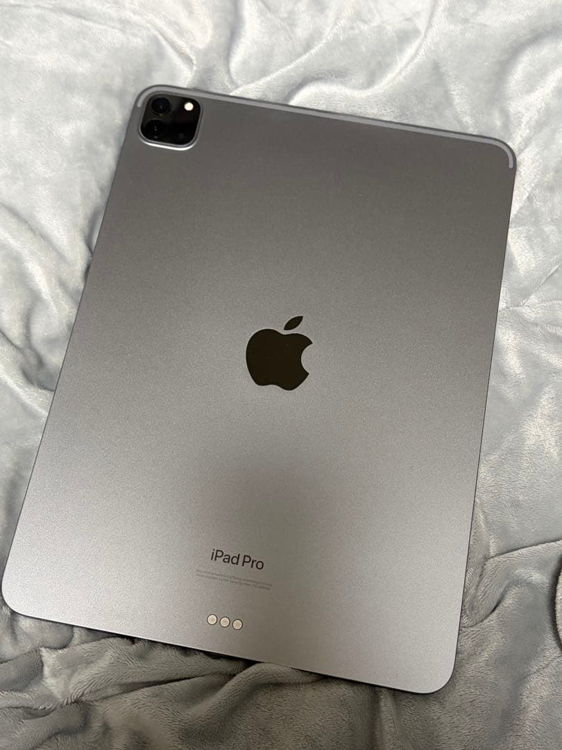 【ジャンク】iPad Pro 11 第4世代 256GB Wi-Fi