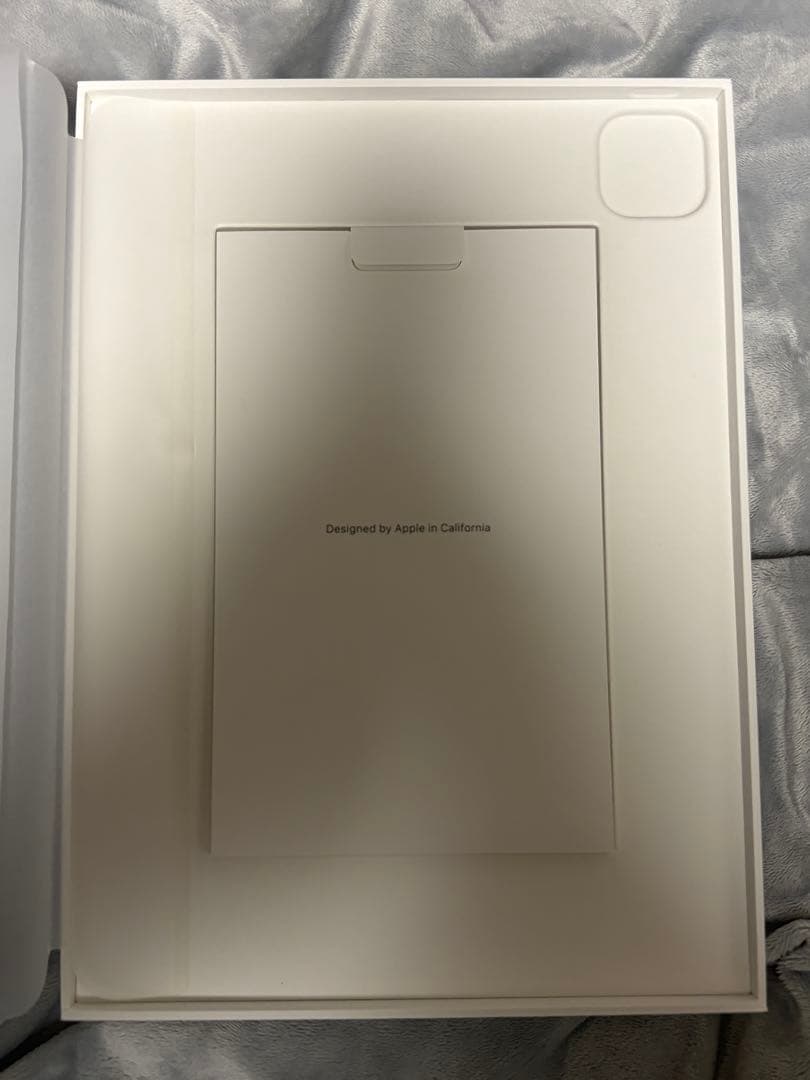 【ジャンク】iPad Pro 11 第4世代 256GB Wi-Fi