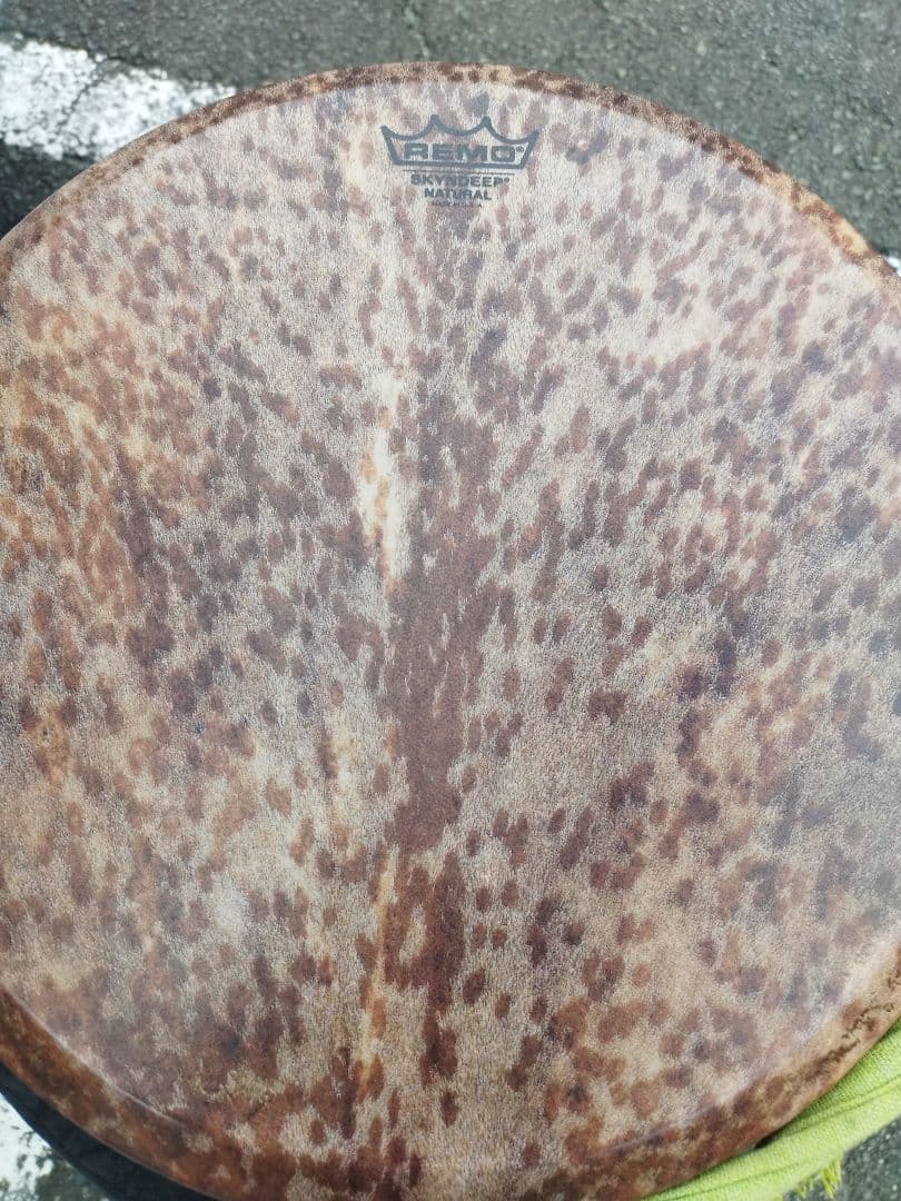 インフィニティージャンベ14\" （REMO レモ）