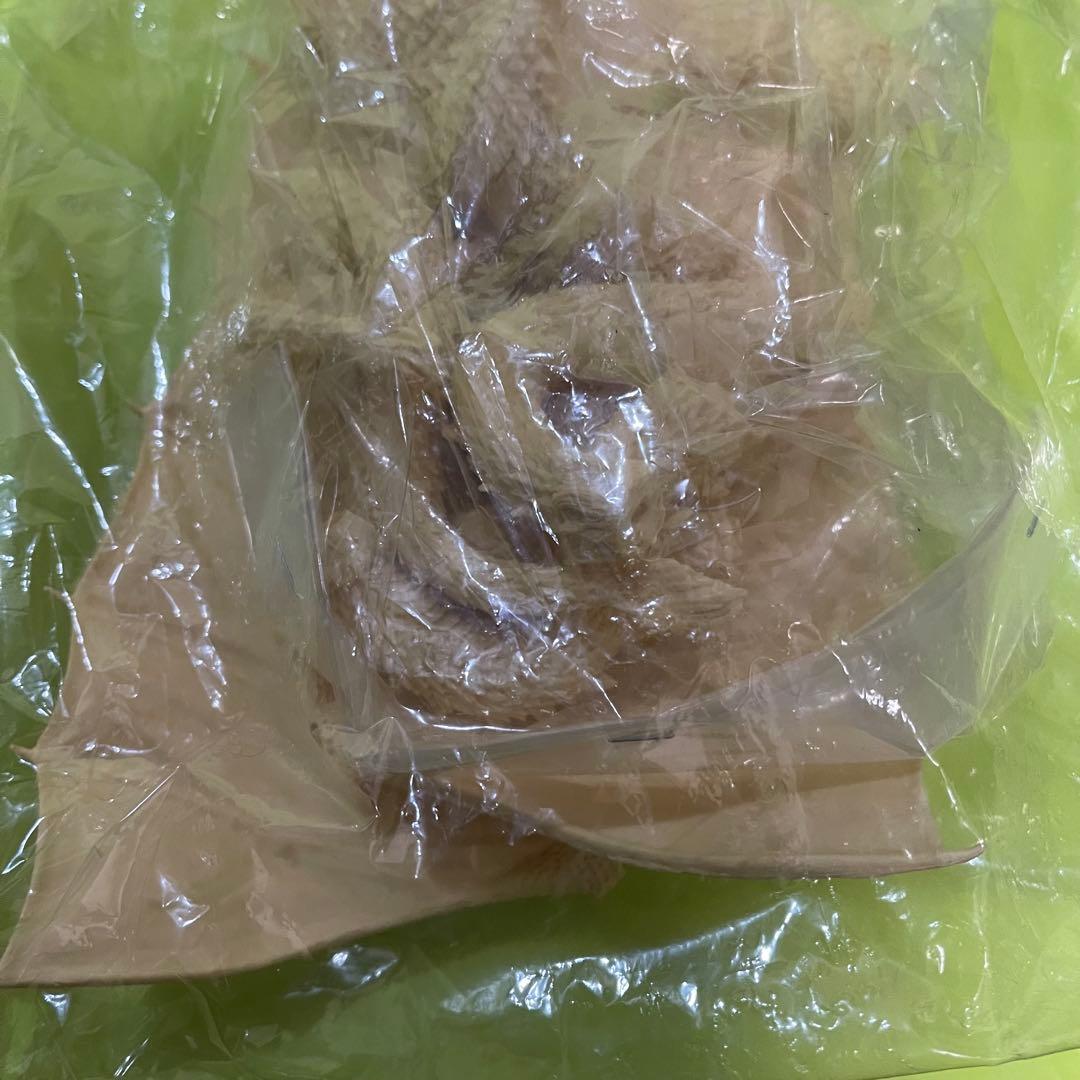 海洋堂　キングギドラ 1/350スケール レジンキャストモデルキット フィギュア