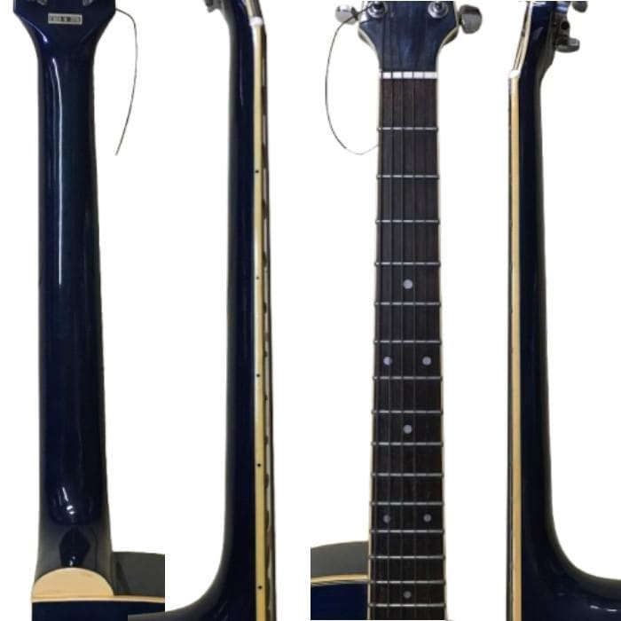 Y USED エレアコ Pro Martin custom ギター ブルー