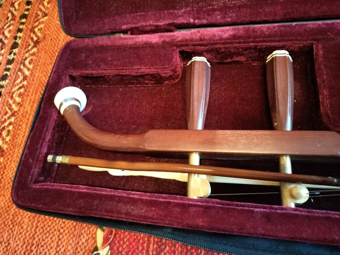 付属品充実！二胡本体と一式 ケース・教本DVD付き