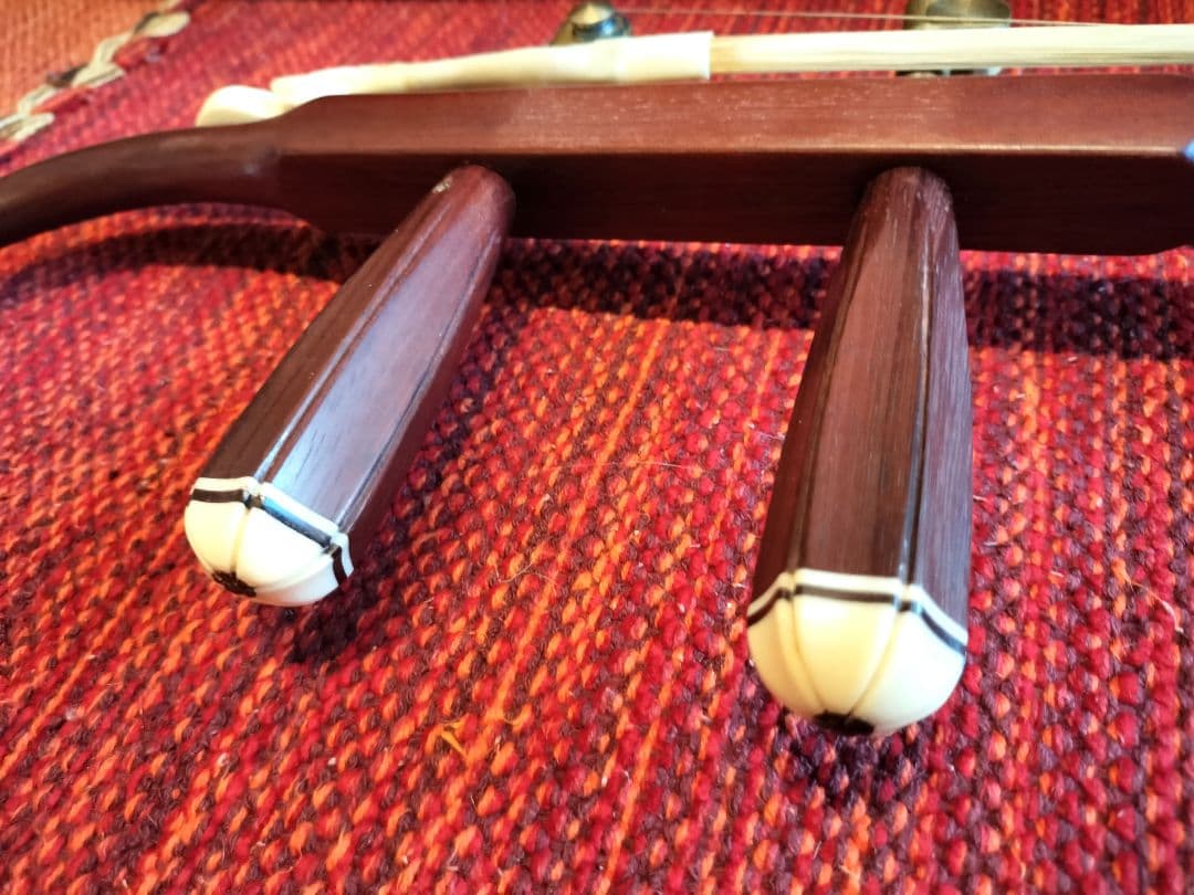 付属品充実！二胡本体と一式 ケース・教本DVD付き