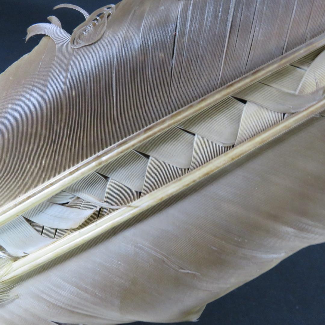 羽根 箒 羽箒 茶道具 お茶道具 茶の湯 お稽古 お点前