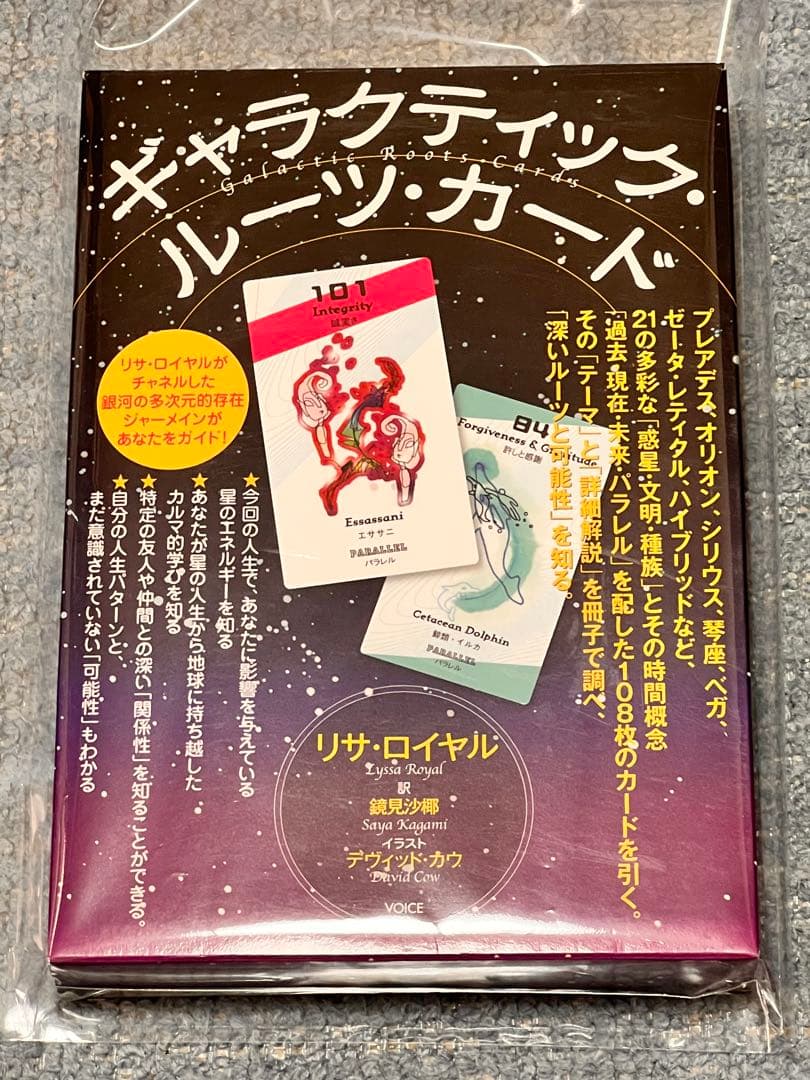 美品！希少！絶版！大人気！ギャラクティックルーツカード