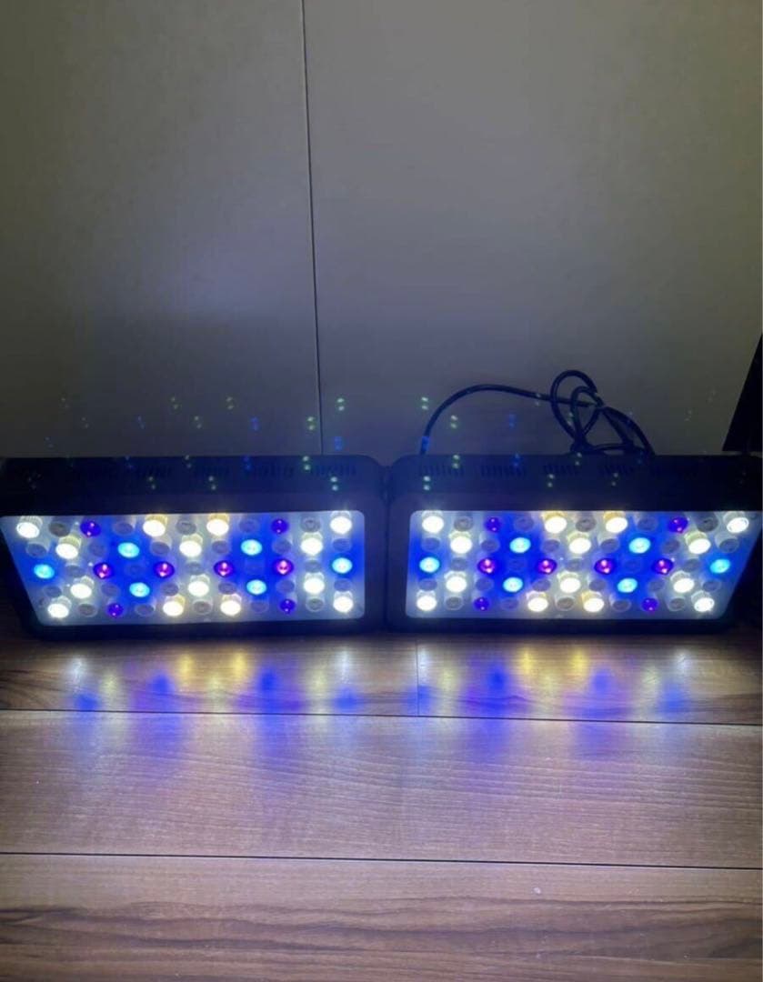 サンゴの育成と演色に特化した165W LEDライト プリズムレンズ　1台セット
