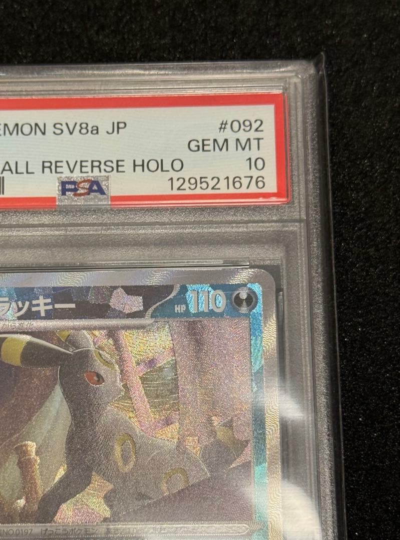 ブラッキー　マスターボールミラー　psa10