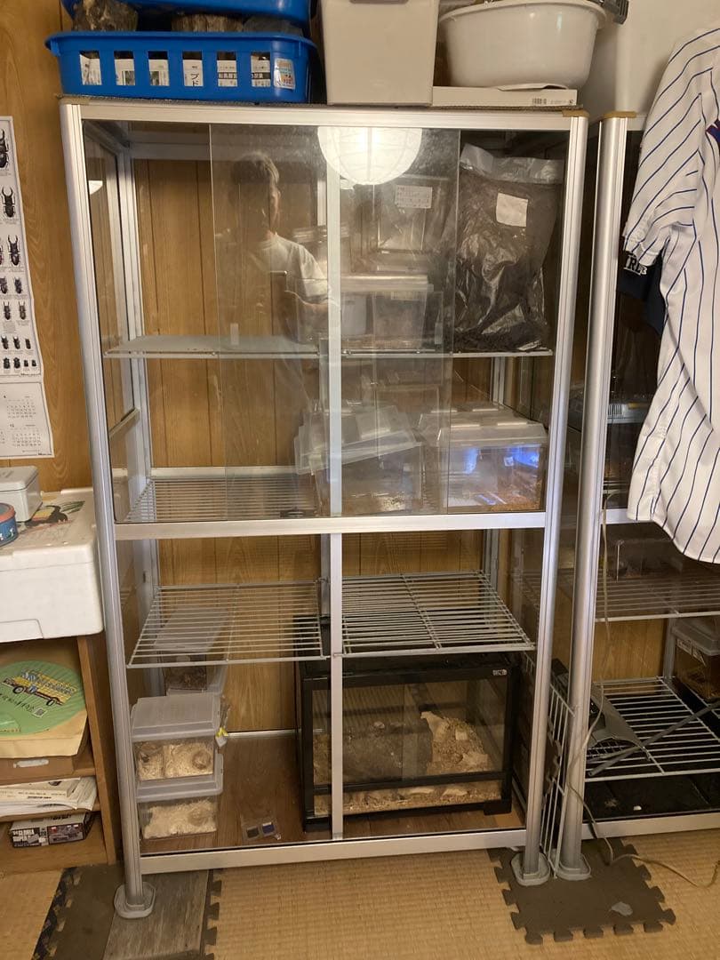 中型透明ショーケース　値下げ中