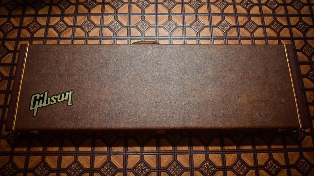 Gibson ノンリバ―ス・サンダーバード用ハードケース