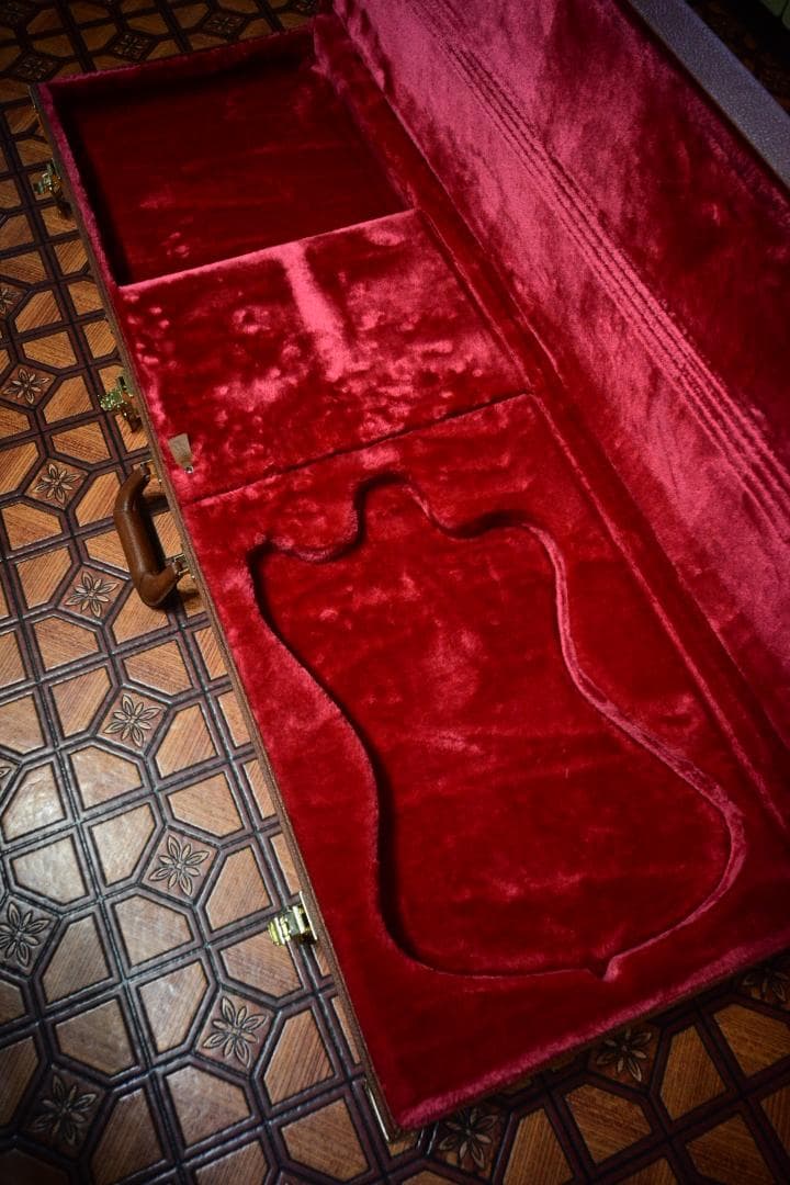 Gibson ノンリバ―ス・サンダーバード用ハードケース