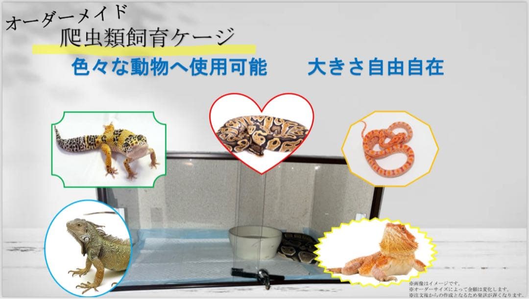 オーダーメイド 爬虫類飼育ケージ