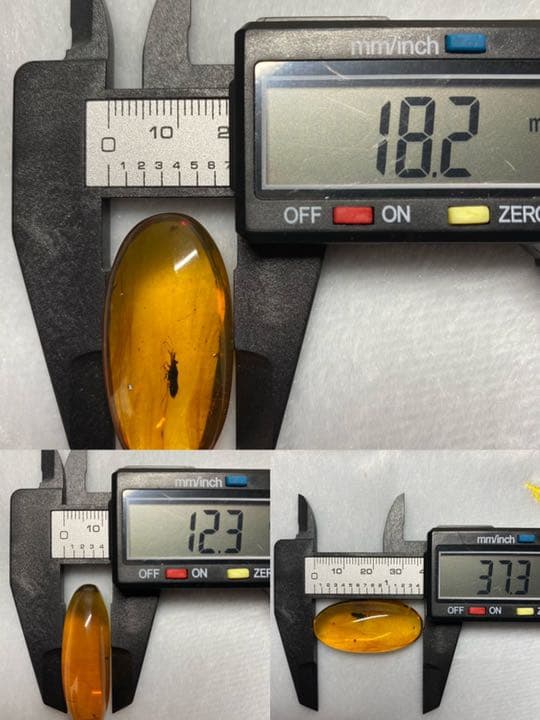 アンバー 琥珀 カメムシ 昆虫  コレクション 天然石 虫入り 価値上がる