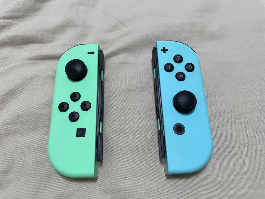 Nintendo Switch あつまれ どうぶつの森セット キャリングケース付