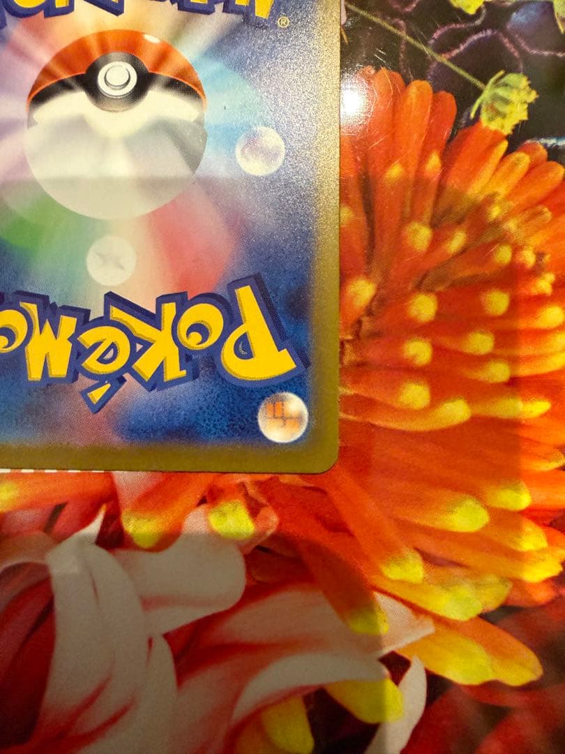 【極美品】 ポケモンカードメガリザードンXex SAR 110/080