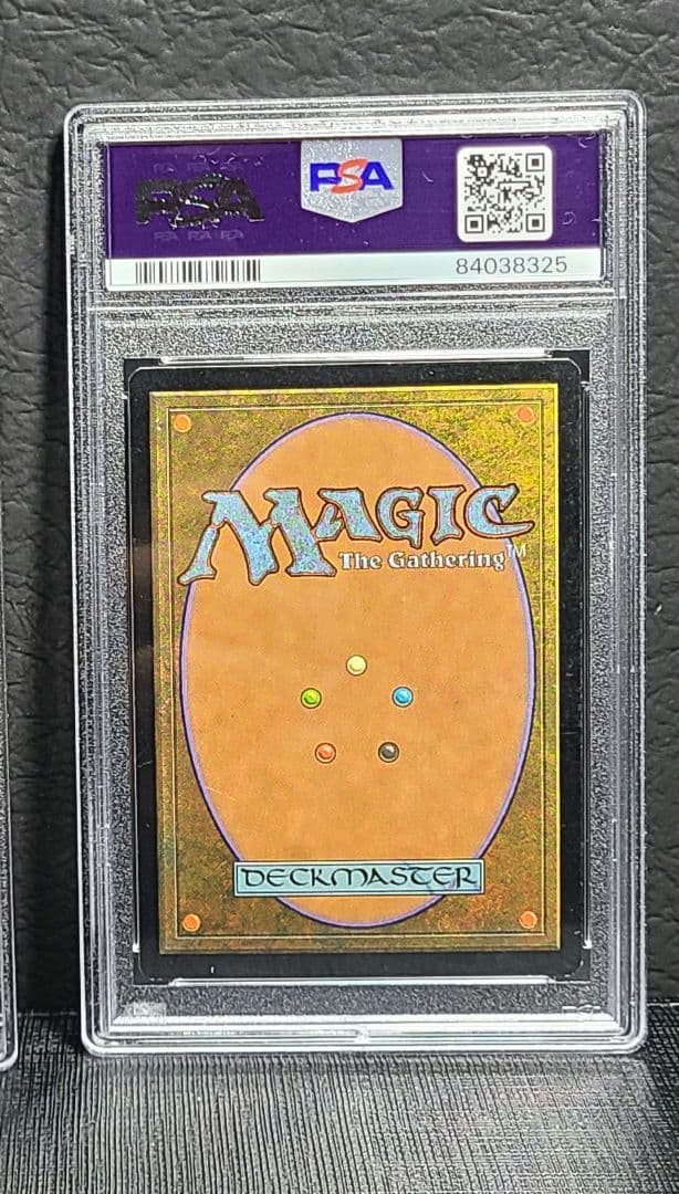 欲深きドラゴン foil 再録禁止 PSA8 MTG