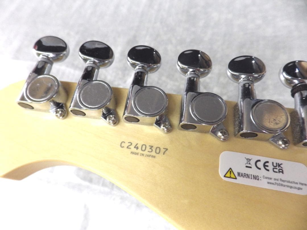 FUJIGEN エレキギター　BCTE100RBD-MBL/01