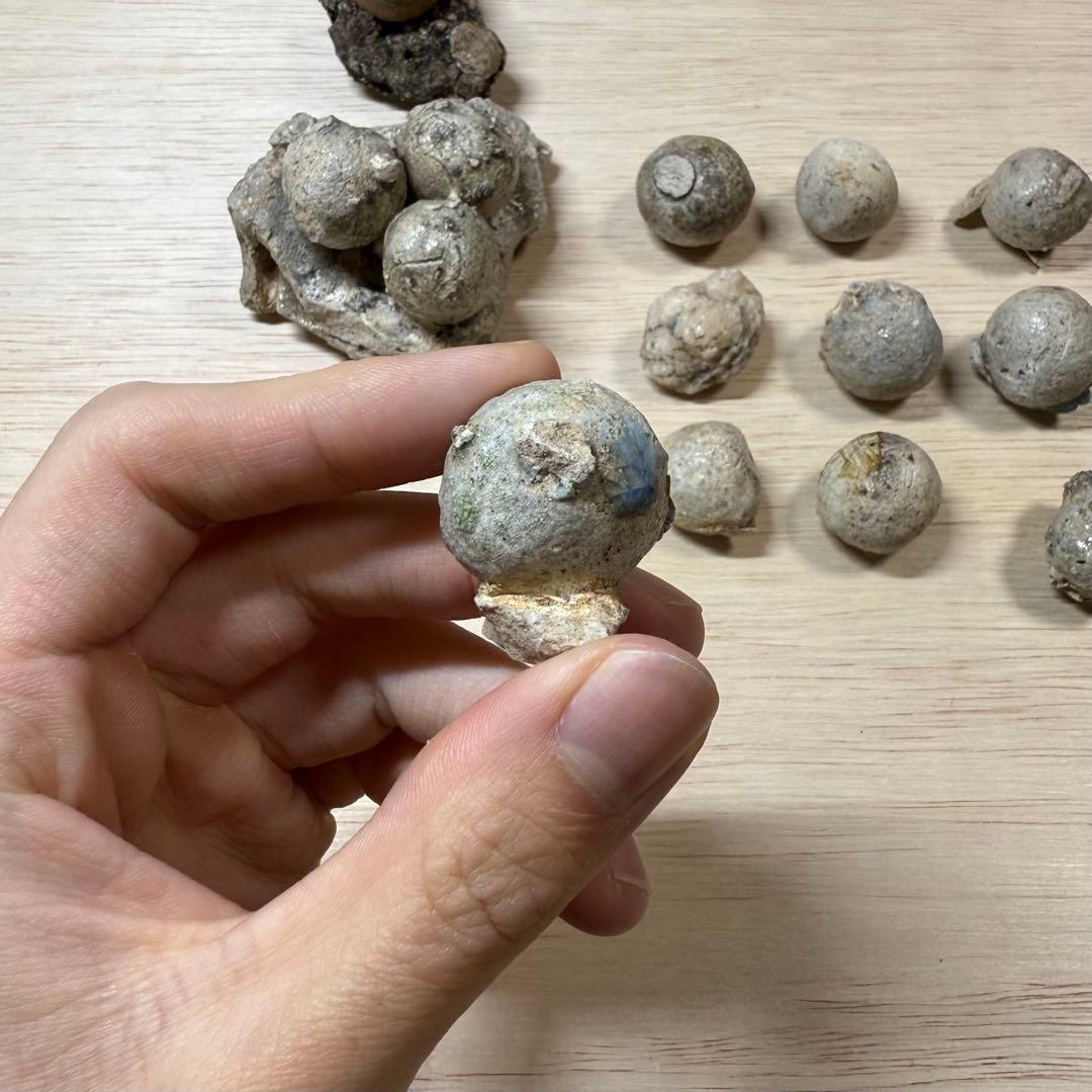 古瀬戸 陶丸 鎌倉時代 室町時代 陶片 発掘品 古常滑 古美濃 古美術 骨董品