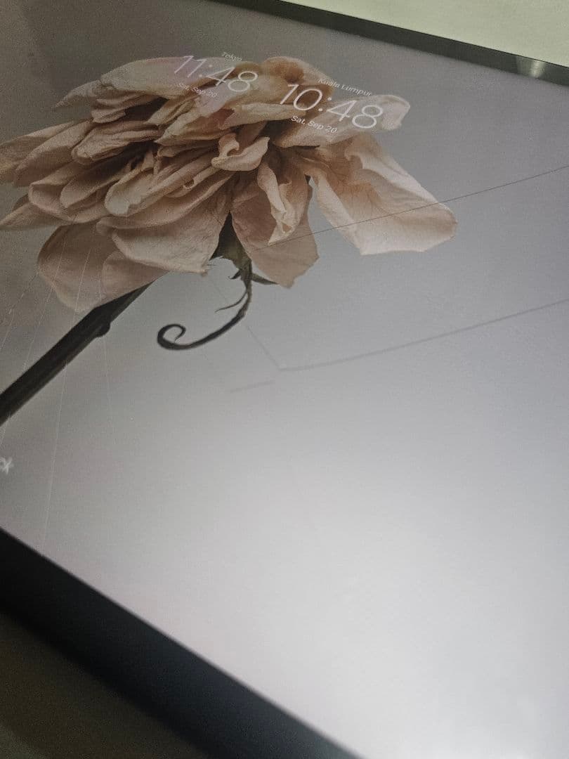 Xiaomi Pad 5 グレー