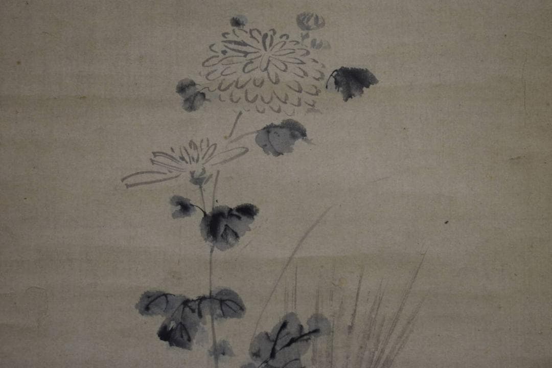 真作/英一蝶/菊花図/金襴表装/桐題箱付/布袋屋掛軸HH-560