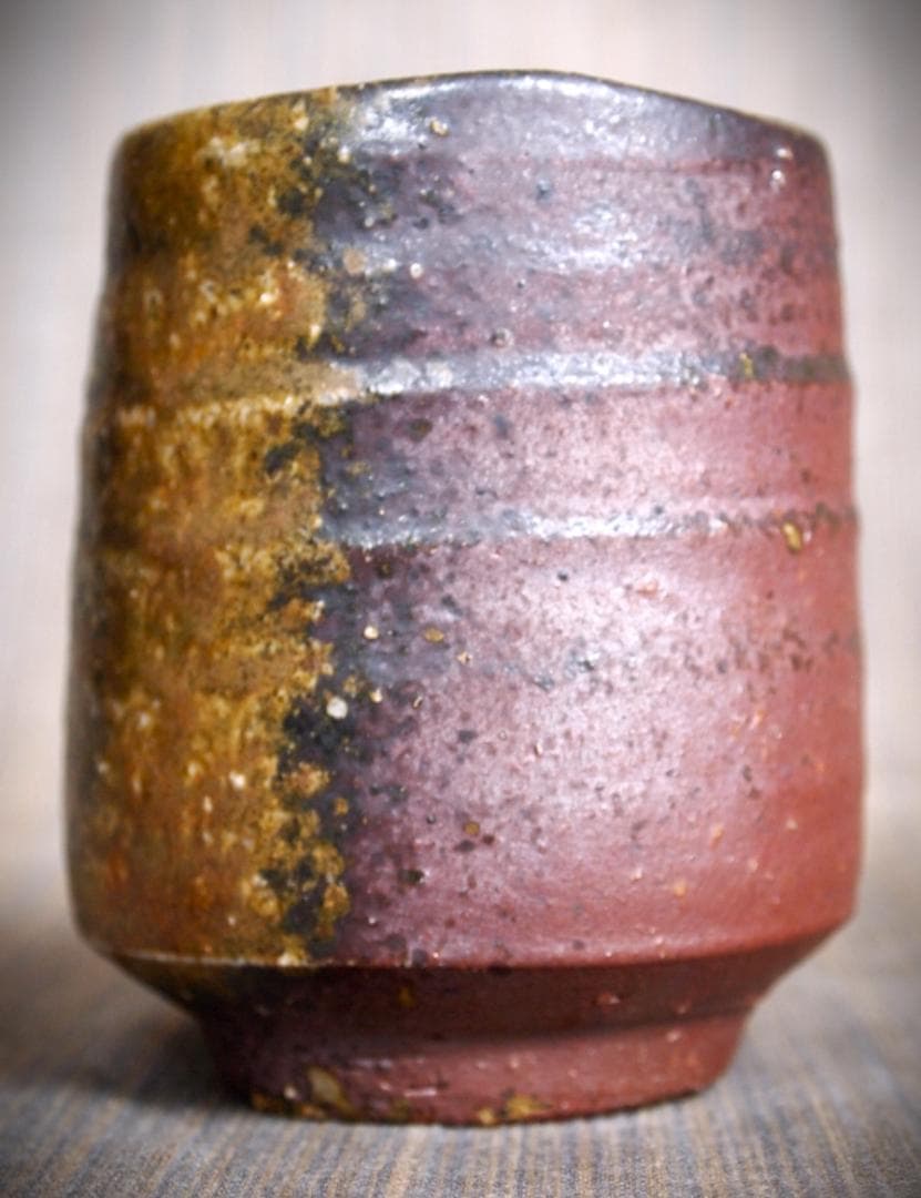 金重晃介【師＆父：金重陶陽】備前《窯変》湯のみ★共箱・栞