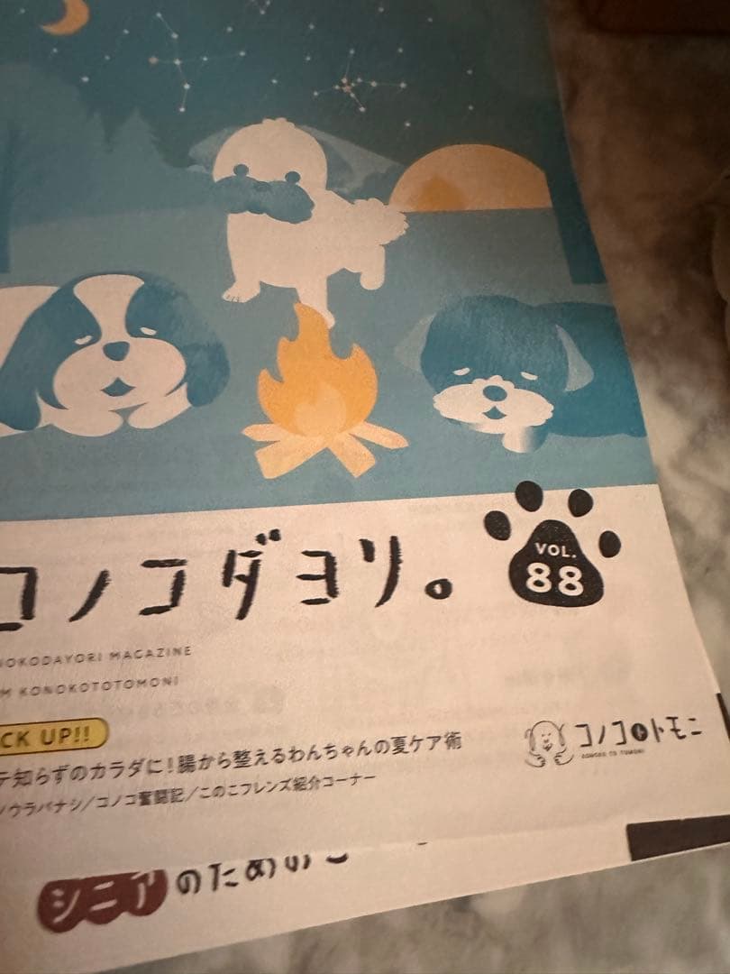 おかんさん専用新品未開封】このこのごはん　1キロ×4袋