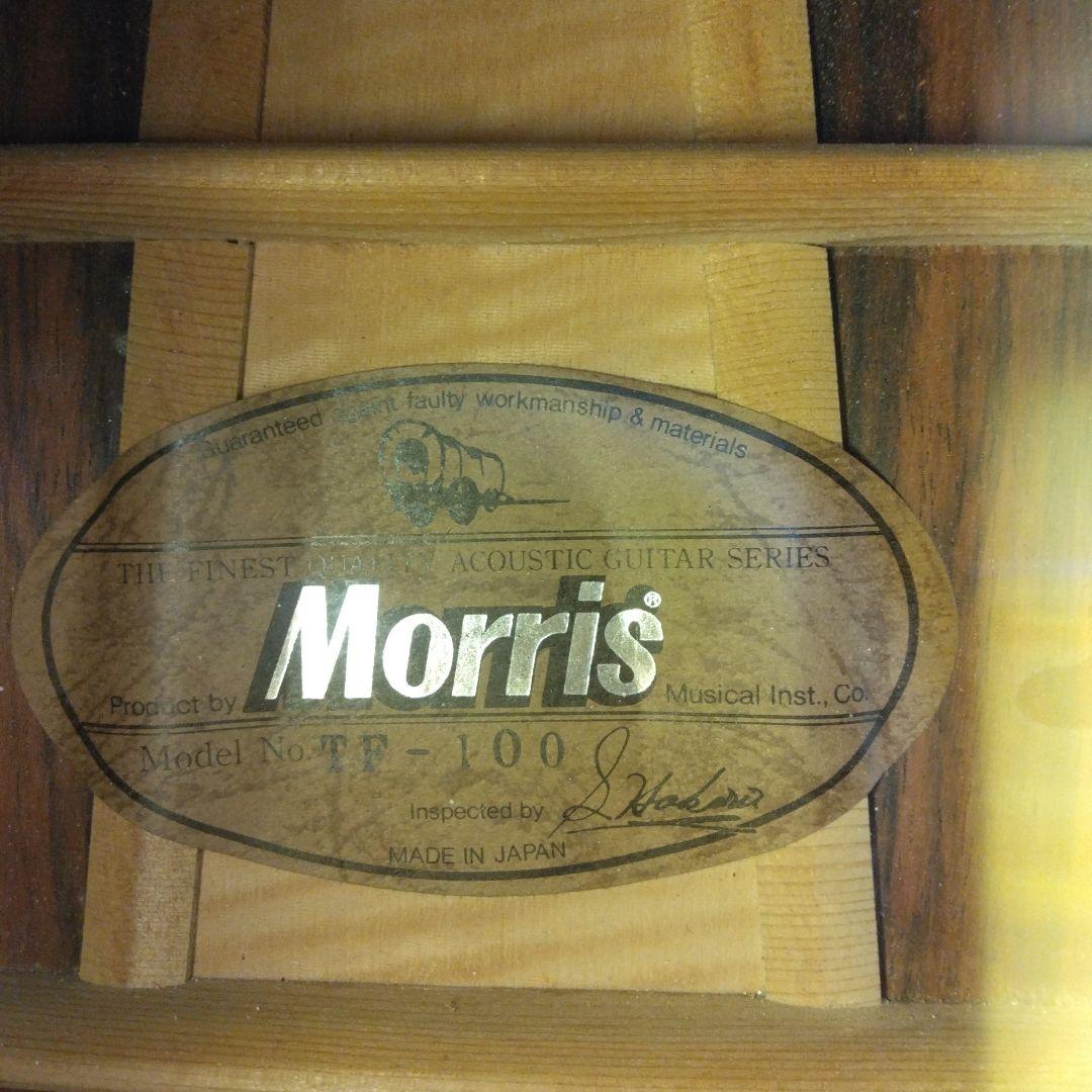 Morris モーリス　TF-100 アコースティックギター
