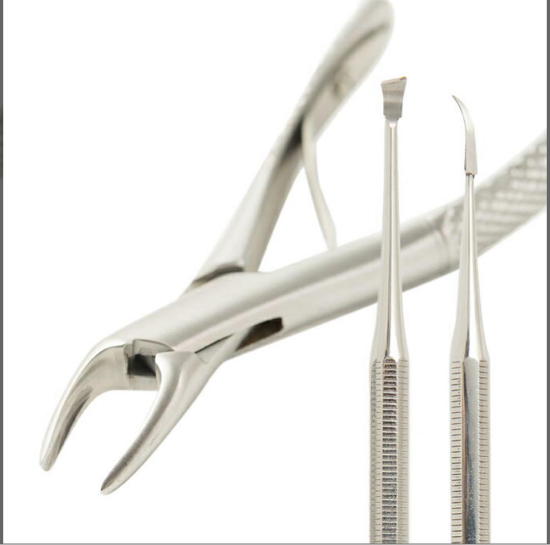 帝塚山ハウンドカム 歯石取りペンチ 歯石取りスケーラー 3点セット