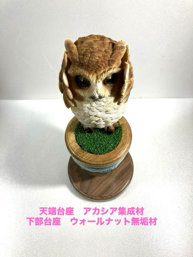 極　小型猛禽（ターコイズ）ブロック、パーチ（汚れ保護シート付）