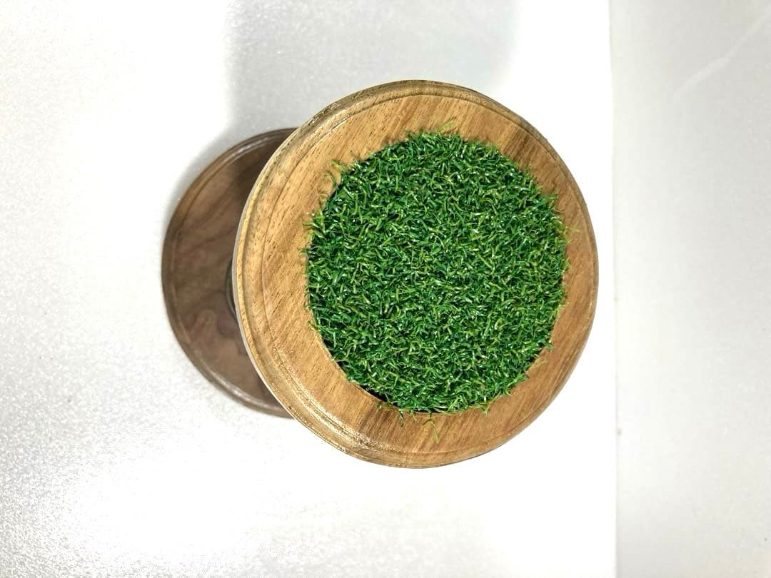 極　小型猛禽（ターコイズ）ブロック、パーチ（汚れ保護シート付）