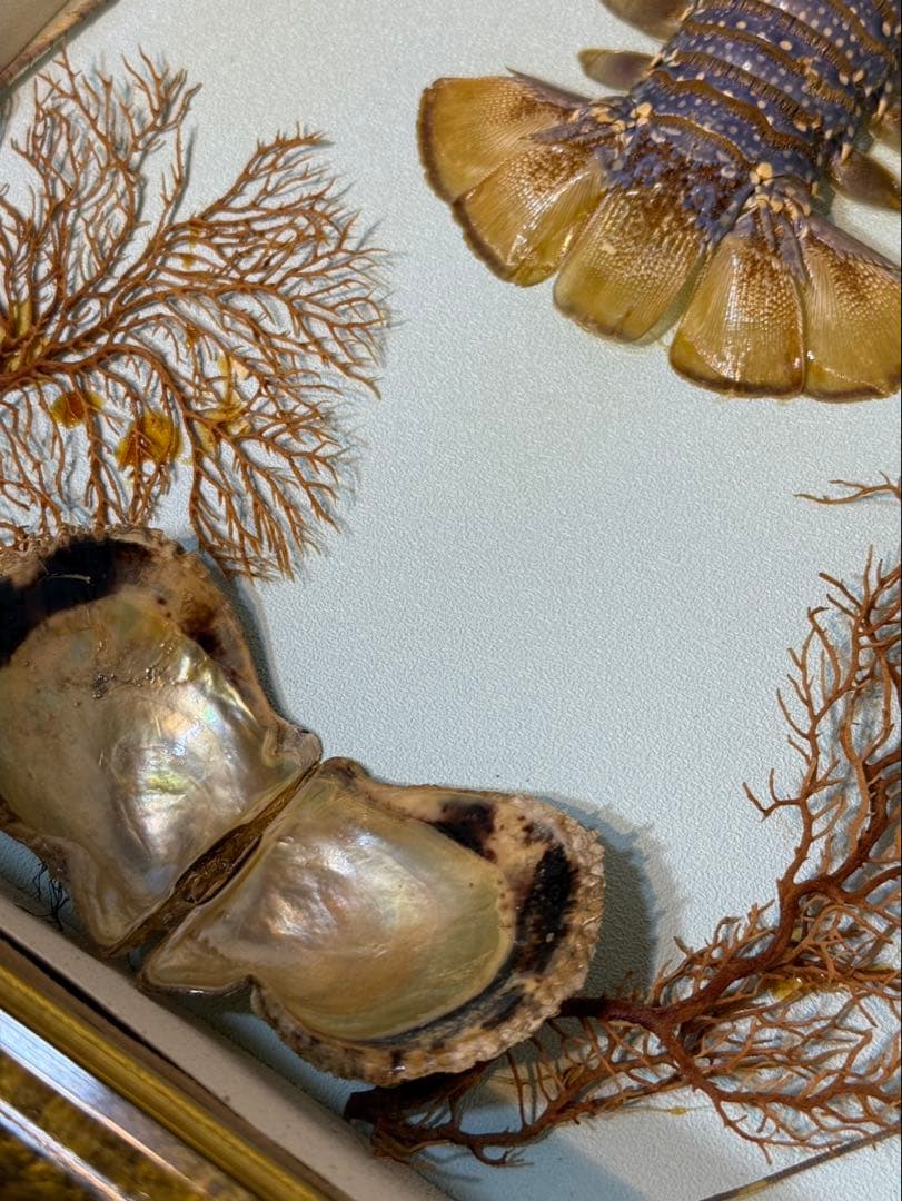 伊勢海老　置物　縁起物　海老