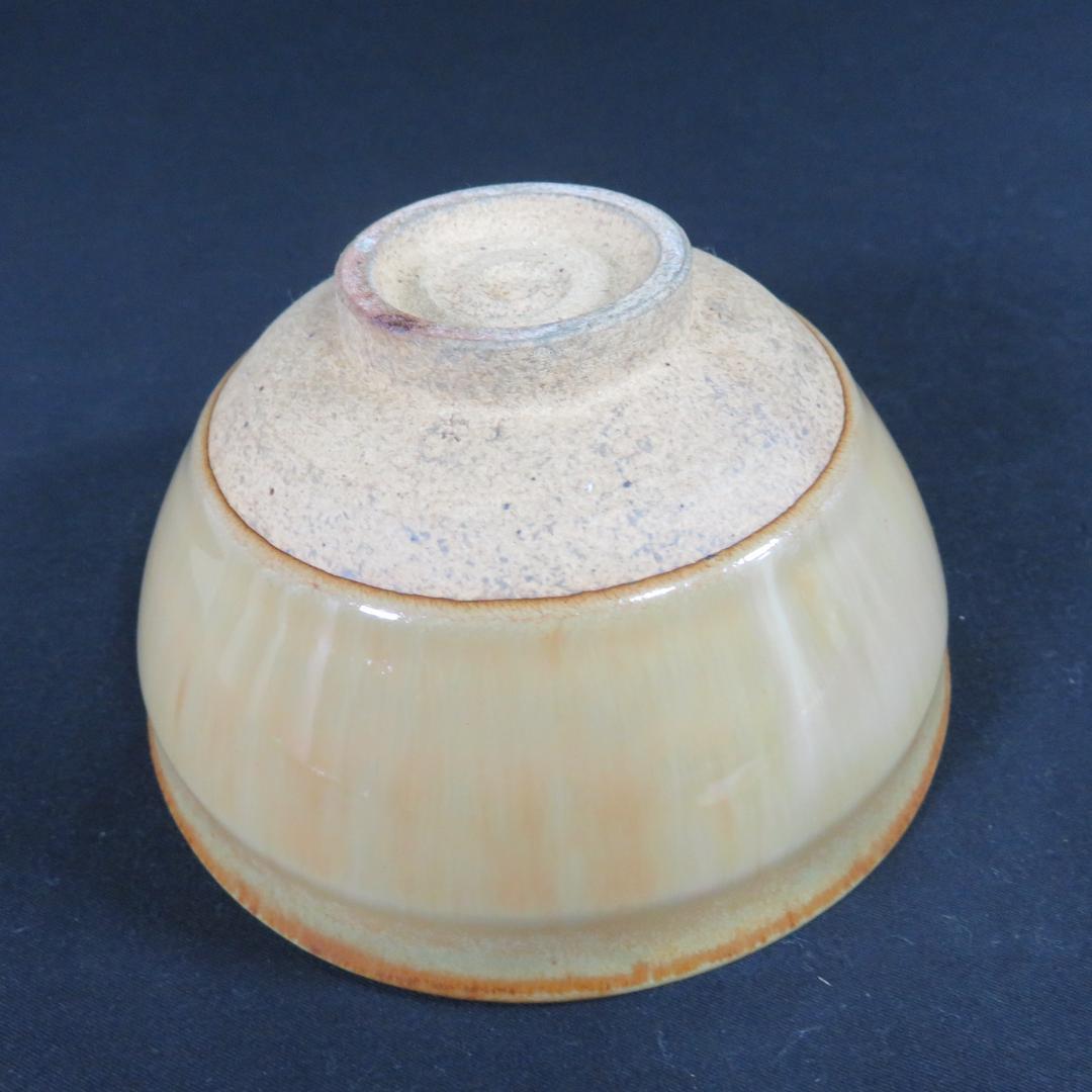 茶碗 玳皮天目 桂山 木箱 在銘 抹茶碗 茶器 茶道具 茶の湯 お稽古