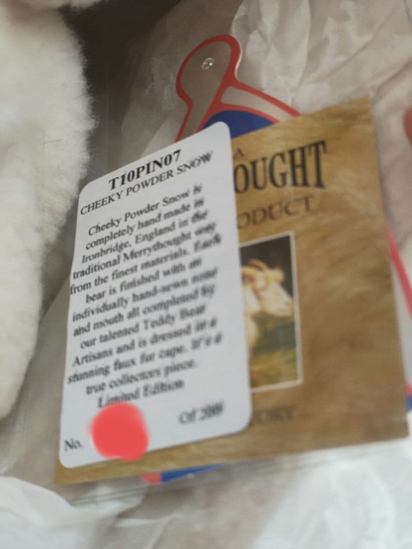 メリーソート チーキーパウダースノー２００７