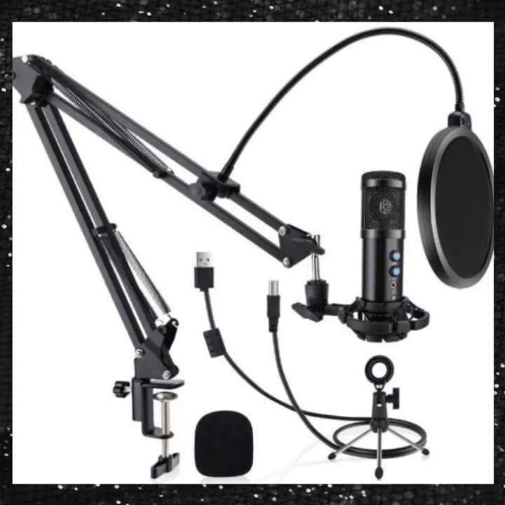 プロ収録を自宅で❣エコー調整自由自在♪❤プロフェッショナルコンデンサーマイク
