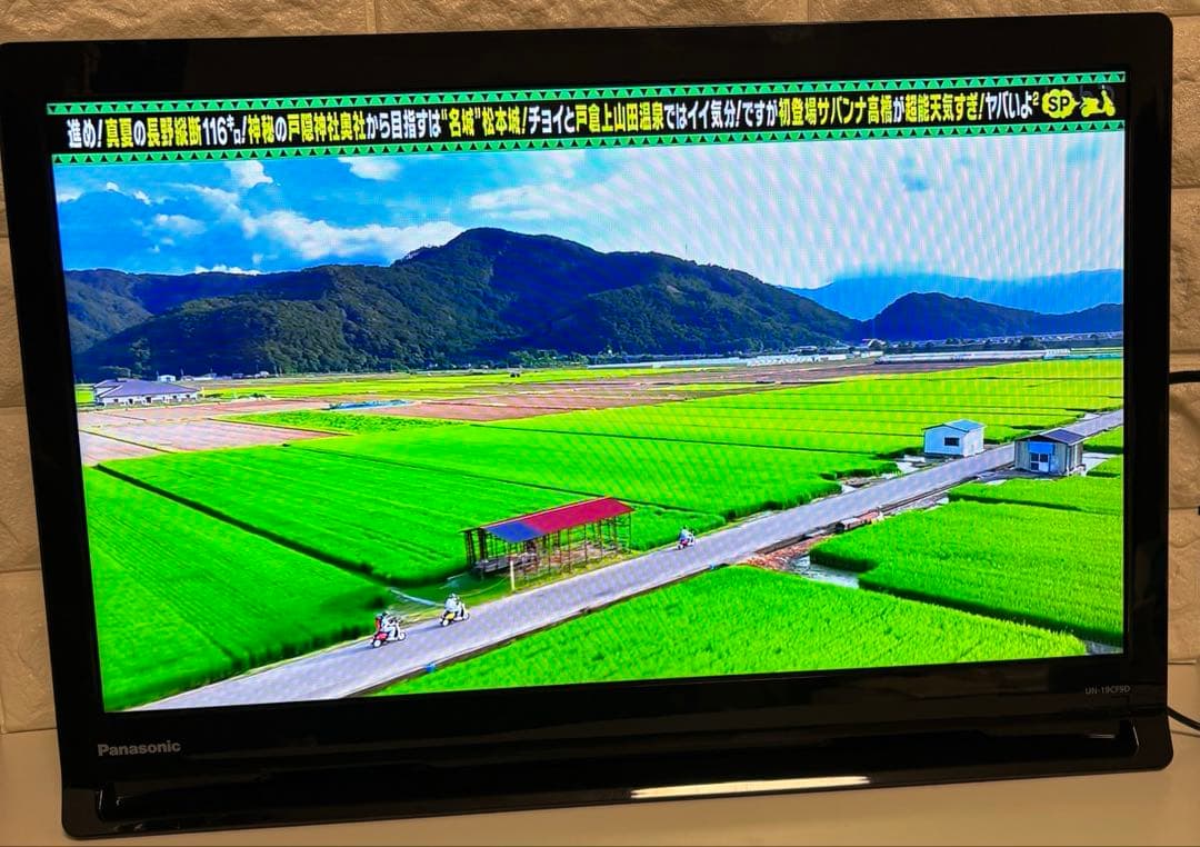 Panasonic プライベートビエラビエラUN-19F10-K