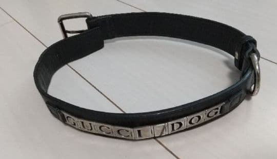 ちゅら　GUCCI 犬 首輪
