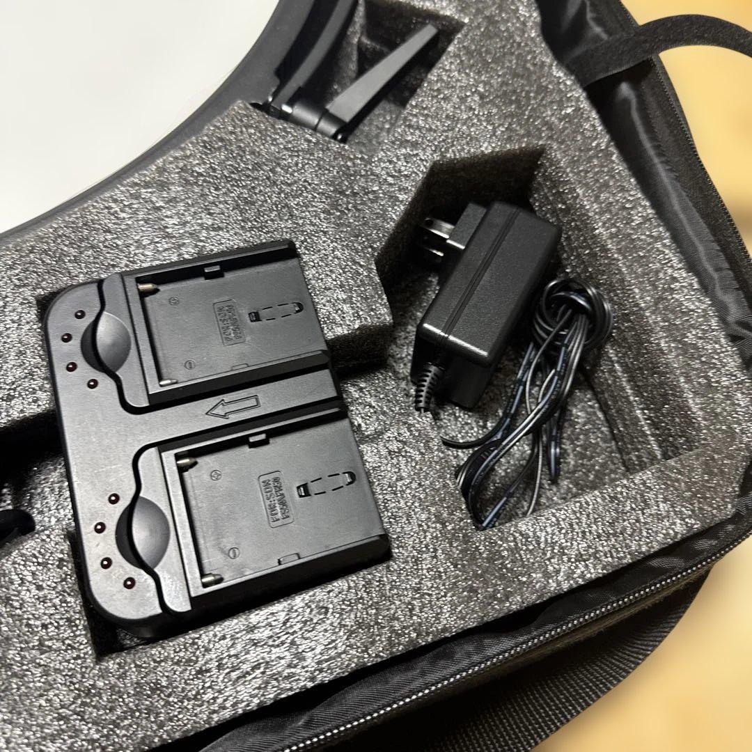 ビデオカメラ Fotodiox C-700RSV