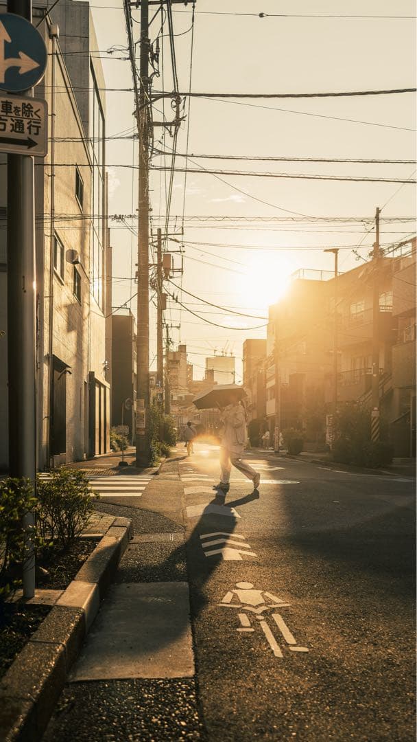 本日限定　Leica ズミクロンM50mm F2.0 レンズフード組込 6bit