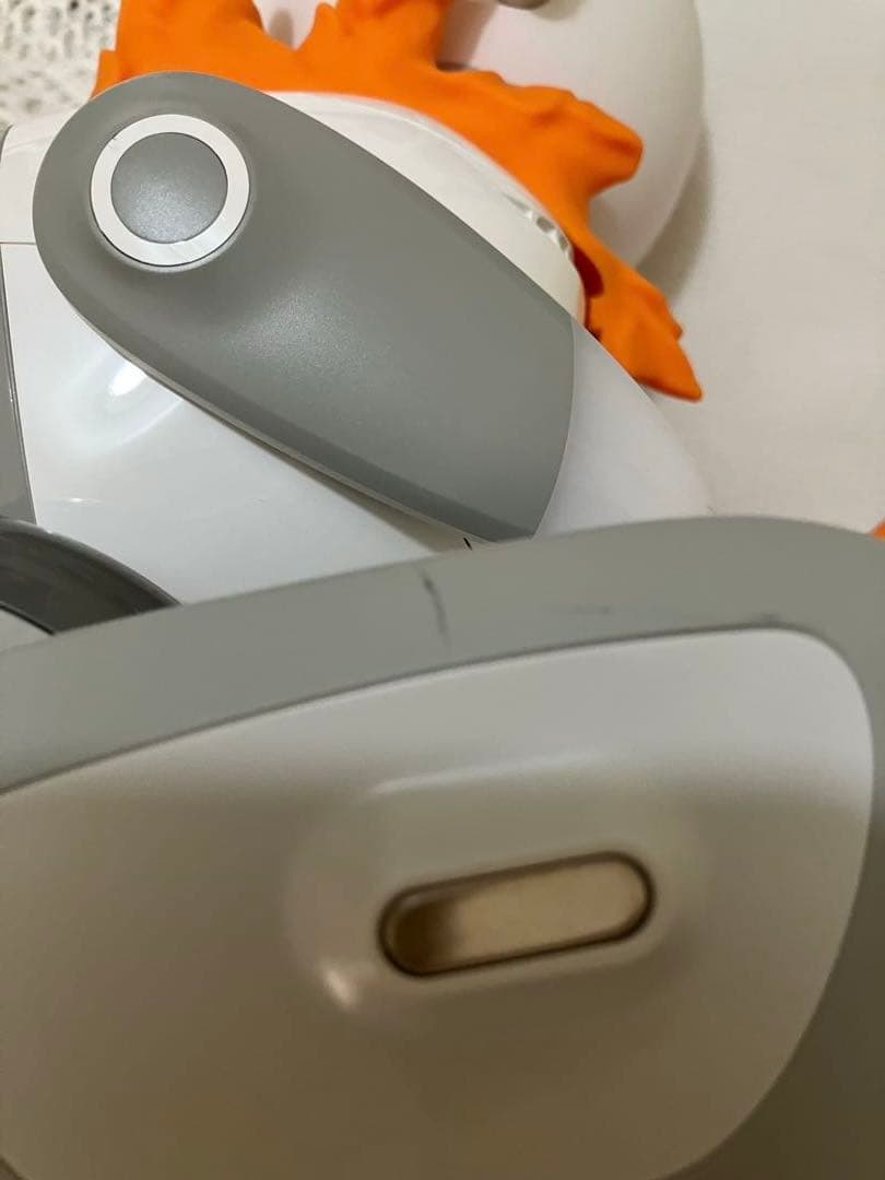 【最終お値下げ❗️】Loona ルーナ　ペットロボット　充電ステーション付き