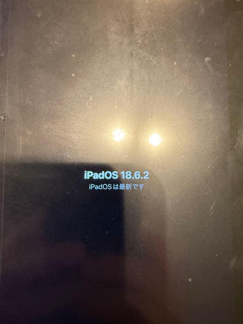 iPad Air第5 256GB Wi-Fiセルラー+ Apple Pencil