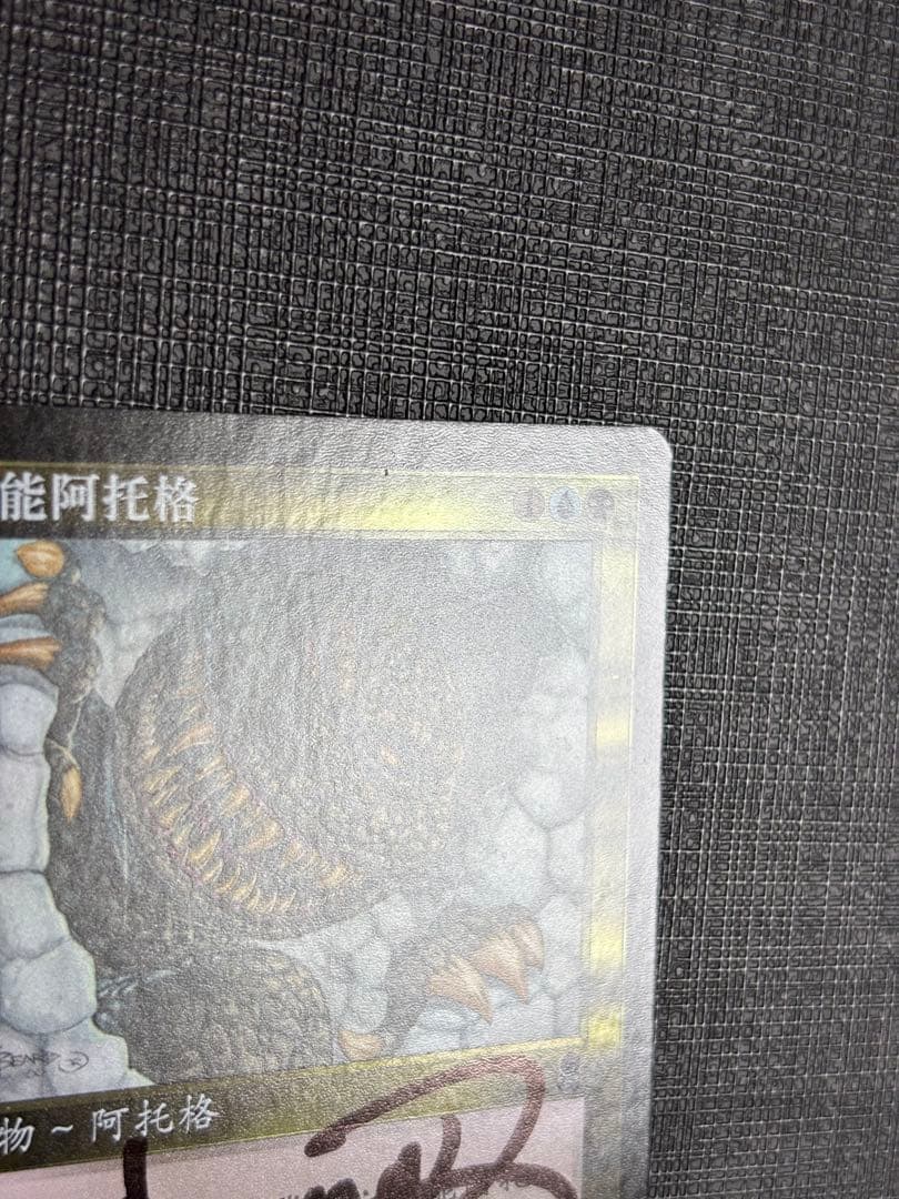 サイカトグFOIL 中国語 簡体字