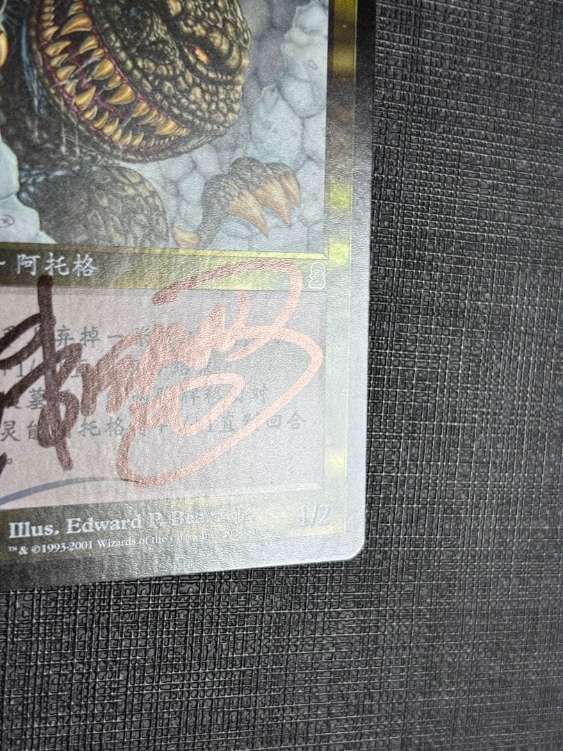 サイカトグFOIL 中国語 簡体字