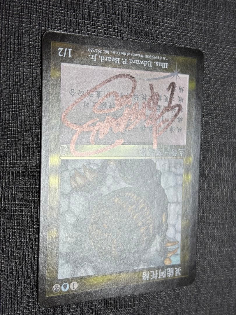 サイカトグFOIL 中国語 簡体字