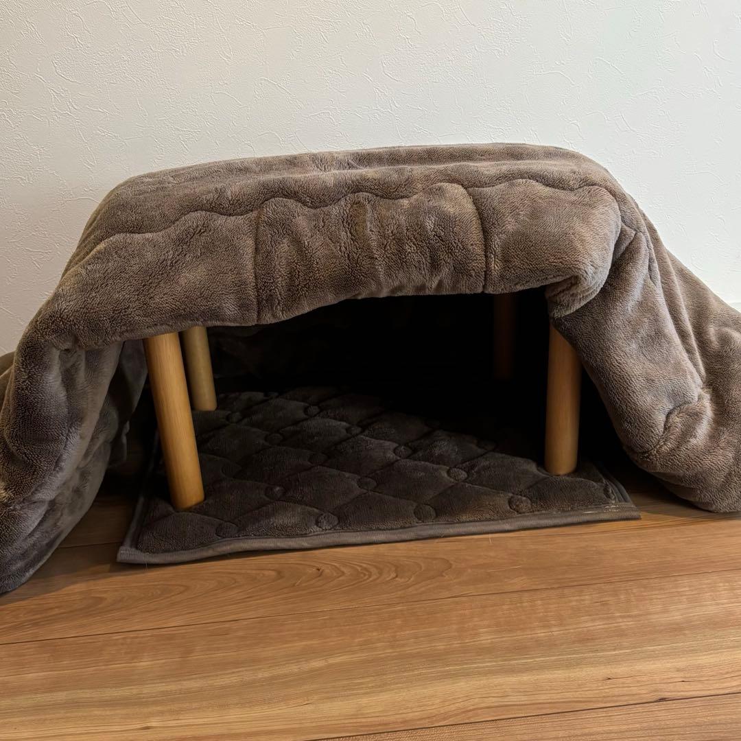 dinos ペット用こたつ ヒートループ素材 ブラウン 3点セット 電気不要