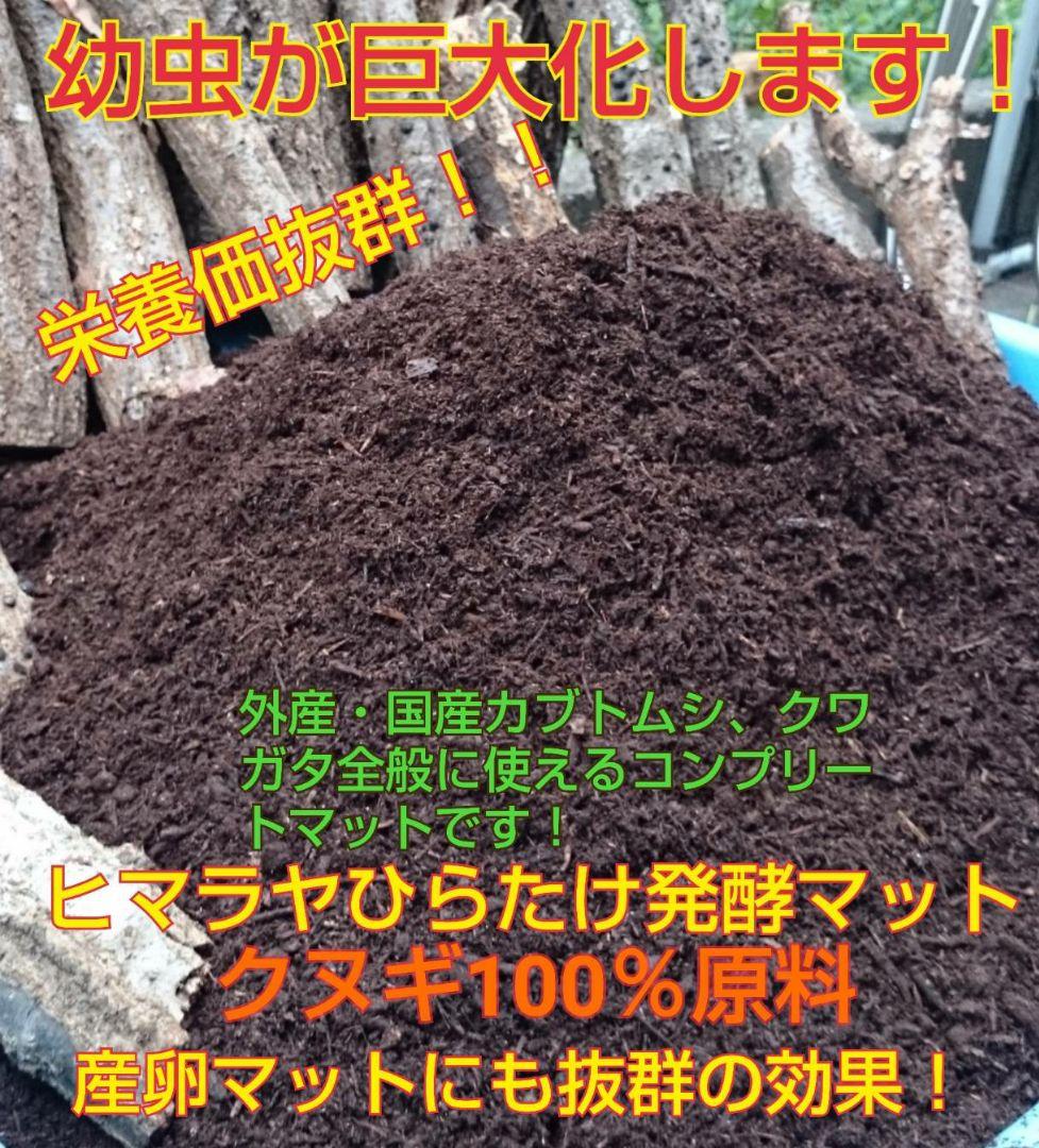 送料無料！80リットル　カブトムシ幼虫の餌！巨大化！ヒマラヤひらたけ発酵マット