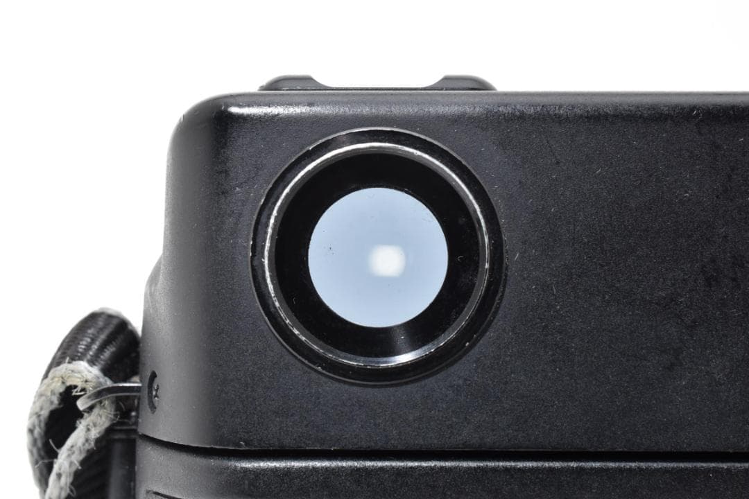 動確済フジフィルム GW690III 6×9 Professional #640