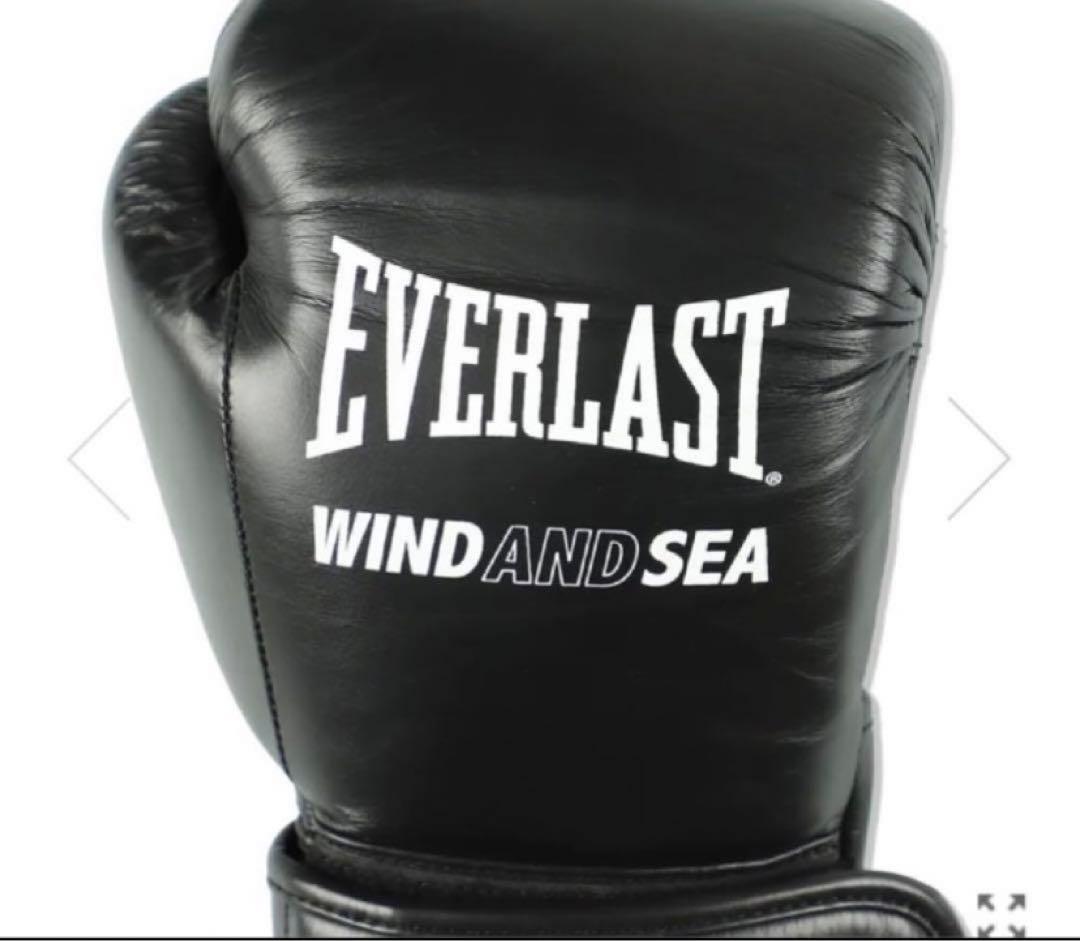 春に散る X WDS X EVERLAST BOXING GLOVE 10oz