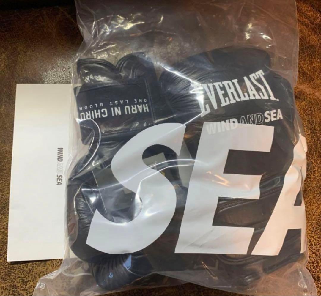 春に散る X WDS X EVERLAST BOXING GLOVE 10oz